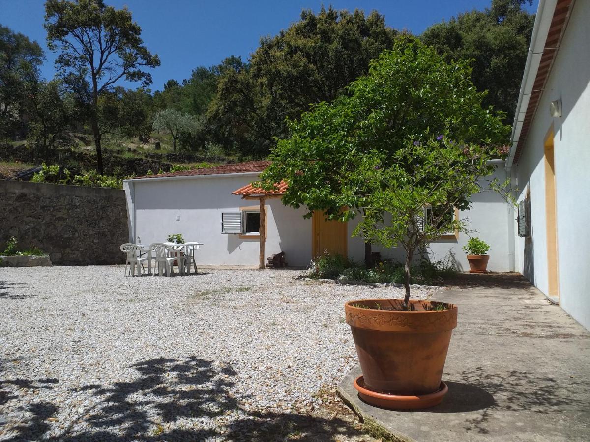 Maison d'hôtes Quinta Da Barroquinha à Vale de Prazeres Extérieur photo