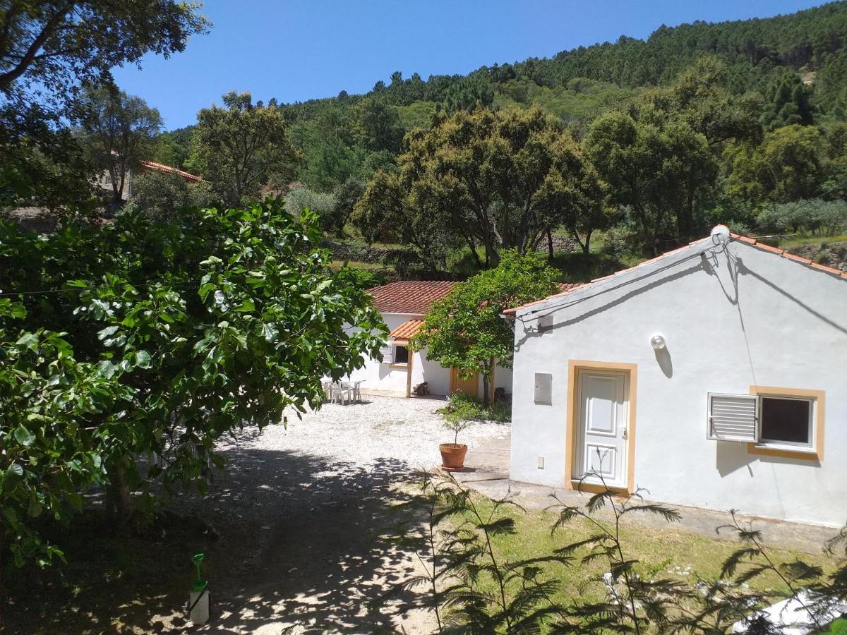 Maison d'hôtes Quinta Da Barroquinha à Vale de Prazeres Extérieur photo