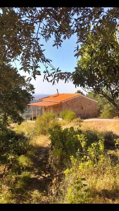 Maison d'hôtes Quinta Da Barroquinha à Vale de Prazeres Extérieur photo